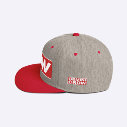 Picture of Obey Propaganda Hat